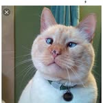 lennon ferris - @lennonferris2005 - Instagram
