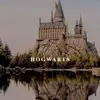 HogwartsGirls<3 - @lenfinchen - TikTok