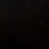 tylenfinch_ - @tylenfinch_ - TikTok