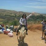 Len Francisco - @len.francisco - Instagram