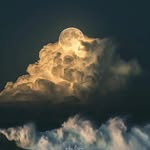 Len Francisco - @l3n_francisco - Instagram