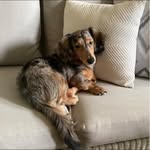 Len Francisco - @themommeh - Instagram