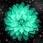 Len Francisco Soto - @lenfranciscosoto - Instagram