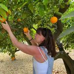 LenFry - @piffshobbykonst - Instagram