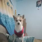 Len Len Gallo - Facebook