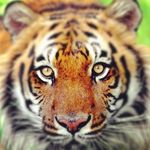 Len Gough - @lengough1952 - Instagram