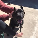 Leon Hamilton - @lenhamilton39 - Instagram