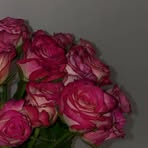 Anna-Lena Hirsch - Facebook