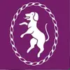fit hall mead girls - @lenghallmeadgirls - TikTok