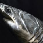Len Mead - @meadlen - Instagram
