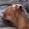 Lenny🩶 - @lenmeadola - TikTok