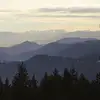 Kaylen Parsons - @kaylen.parsons - TikTok