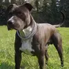 lenapeltier - @lenapeltier - TikTok