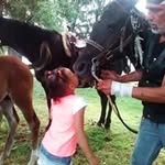 Leonard Peltier Freedom Ride 2 - @leonardpeltierfreedomride2018 - Instagram