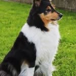 Marylene Peltier - @marylenepeltier - Instagram