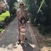 Len Shapiro - Facebook