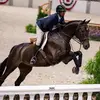 Kellen Sullivan - @kellen.sullivan42069 - TikTok