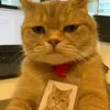 LENWAY - @hii.lenway - TikTok