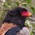 Len Webb - Facebook