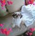 Lena Webb - Facebook