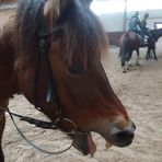Lena Albrecht - Facebook