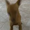 lena - @albrecht_lena - TikTok