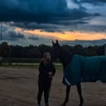 sofia ❤️🐴 - @lena_baron_soofje_future - Instagram