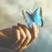 AnneMarie Barron - Facebook