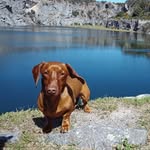 Lena Bender - @lena.bender20 - Instagram