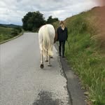 Lena Bender - @bender7970 - Instagram