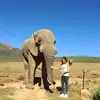 Lena Berg - @lenaberg1 - TikTok
