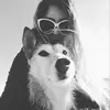 Lena Bergs - @lenabergs - TikTok