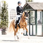 Lena - @lena.berghaus_dressage - Instagram