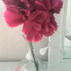 lenaberg - @lenaberg19 - TikTok