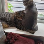 Lena Blackwell - @lena.blackwell.5621 - Instagram
