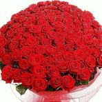 Lena Block - Facebook