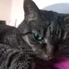 Lena - @lenabodenhagen - TikTok