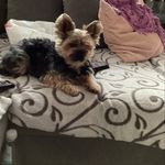 @lena__bowling_live - Instagram