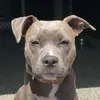 Lena Boyer - @lena.boyer8 - TikTok
