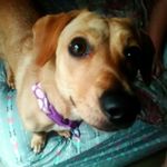 Kay-Lena Brewer - @kaykaybrewer77 - Instagram