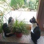 Lena Buck - @lile20083 - Instagram