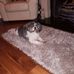 Lena Carroll - Facebook