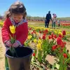 Lena Carson - @lena.carson - TikTok