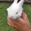 lena_carson - @lena_carson - TikTok