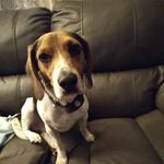 Lena Clark - @lena.clark.35728 - Instagram