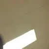 Lena McCombs - @lena.mccombs - TikTok