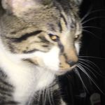Lena Compton - @lenny_spams_ - Instagram
