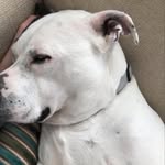 Lena Conner - @lenaconner2020 - Instagram