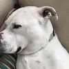Lena Conner - @lenarebeccaconner - TikTok