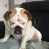 user80232499065 - @lenacoyle - TikTok